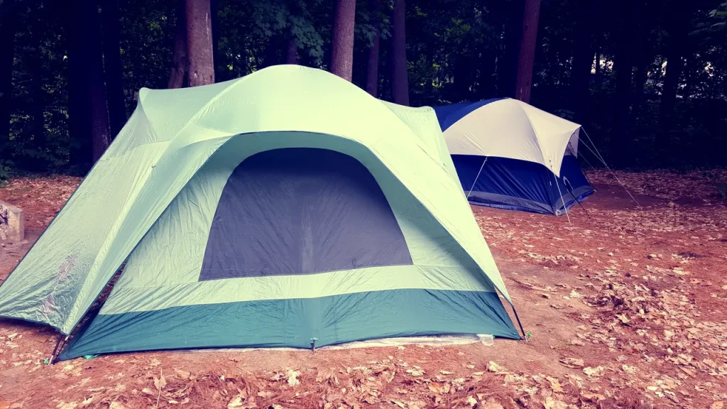 The Cost of Displacement