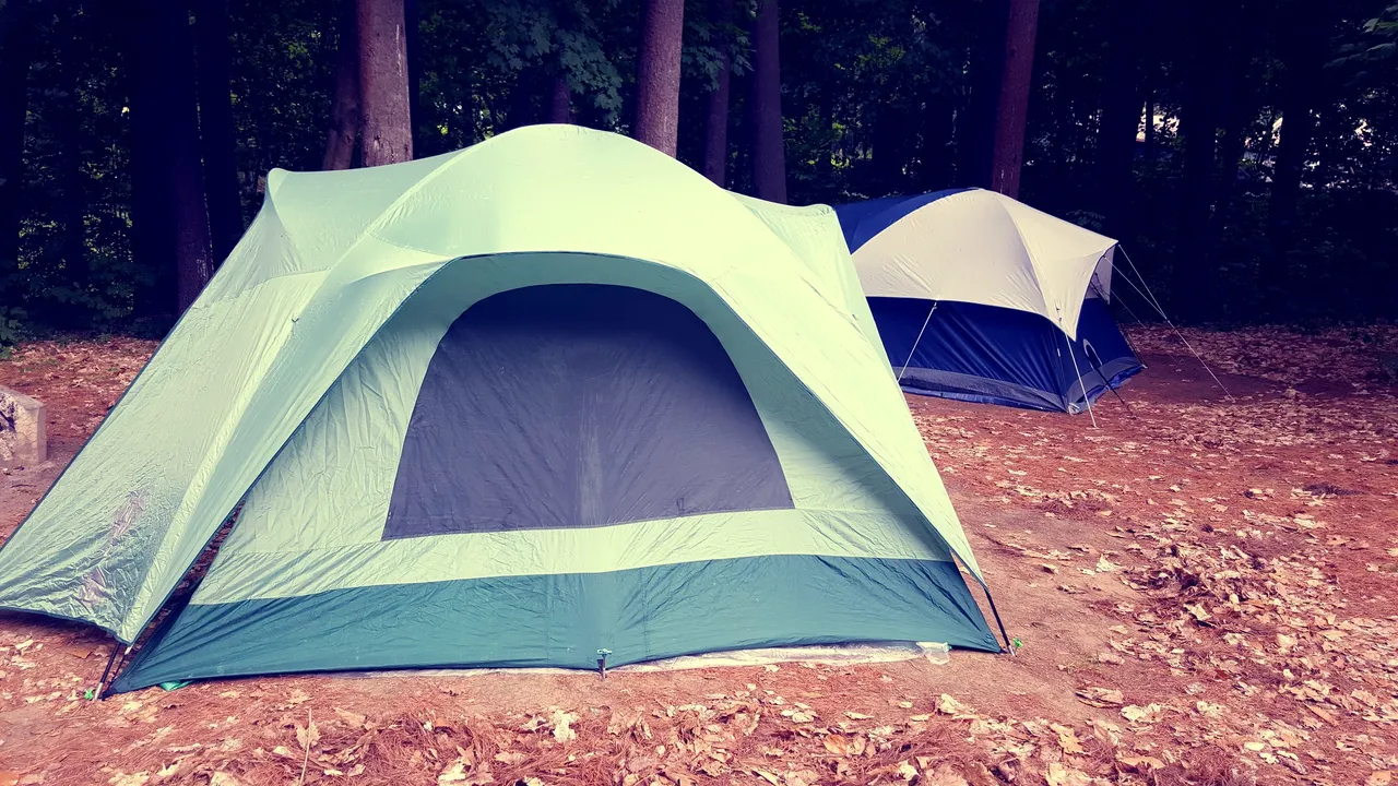 The Cost of Displacement